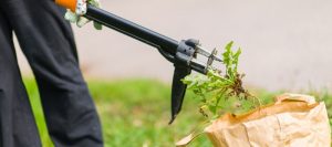 10 Best Weeding Tools For Lawns & Gardens