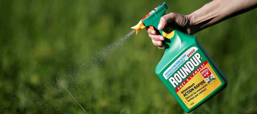 Best Time To Spray Weed Killer