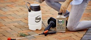 7 Best Post Emergent Weed Killers: A Definitive Guide
