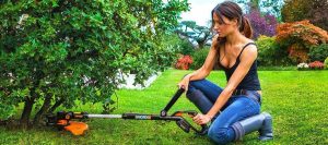 Best Weed Eater: A Complete Guide To Weed Wackers