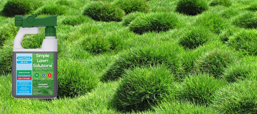 Best Fertilizer for Zoysia Grass You Can Buy in 2021 and Beyond!